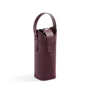 Elan bottle holder