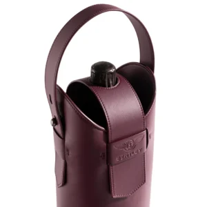 Elan bottle holder