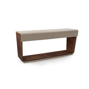 Evan console