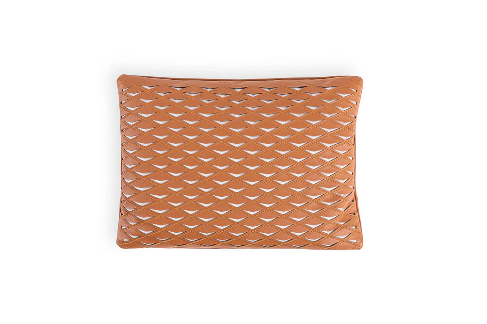 Flying Diamond Cushion