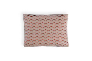 Flying Diamond Cushion