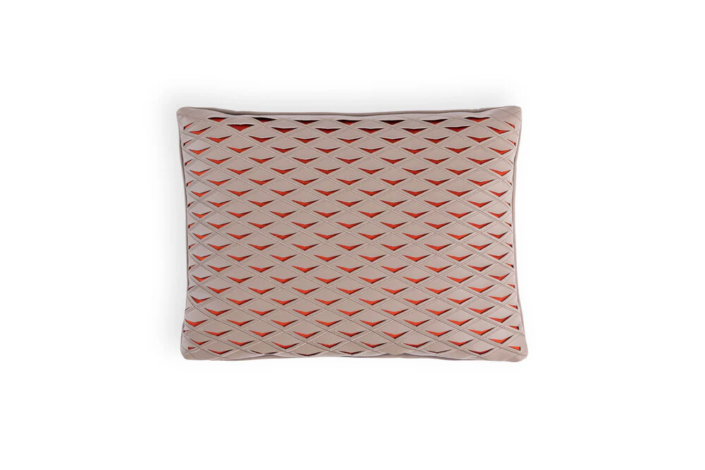 Flying Diamond Cushion