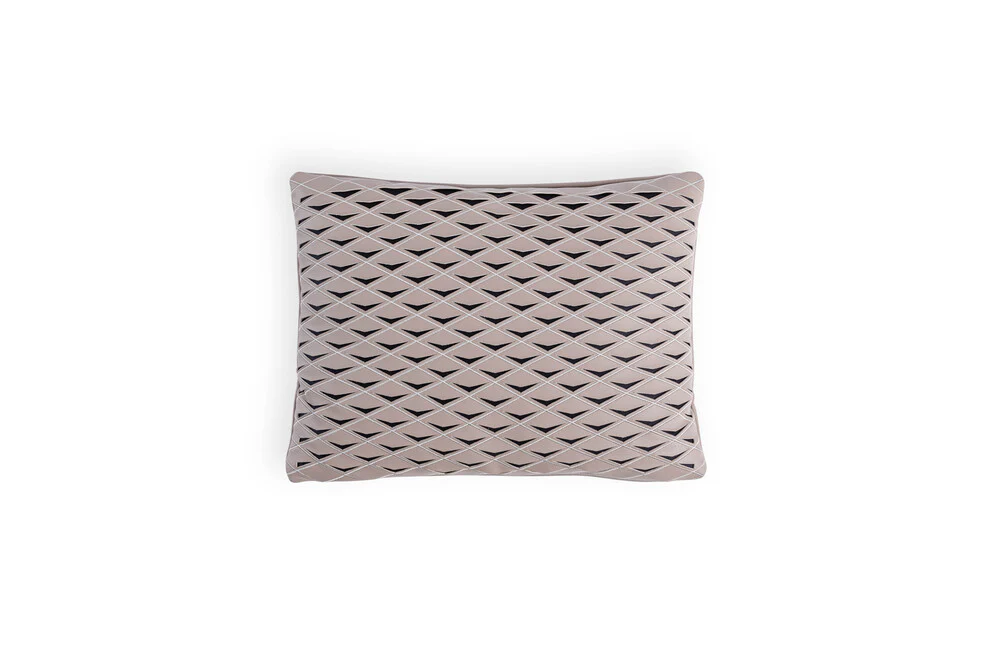 Flying Diamond Cushion