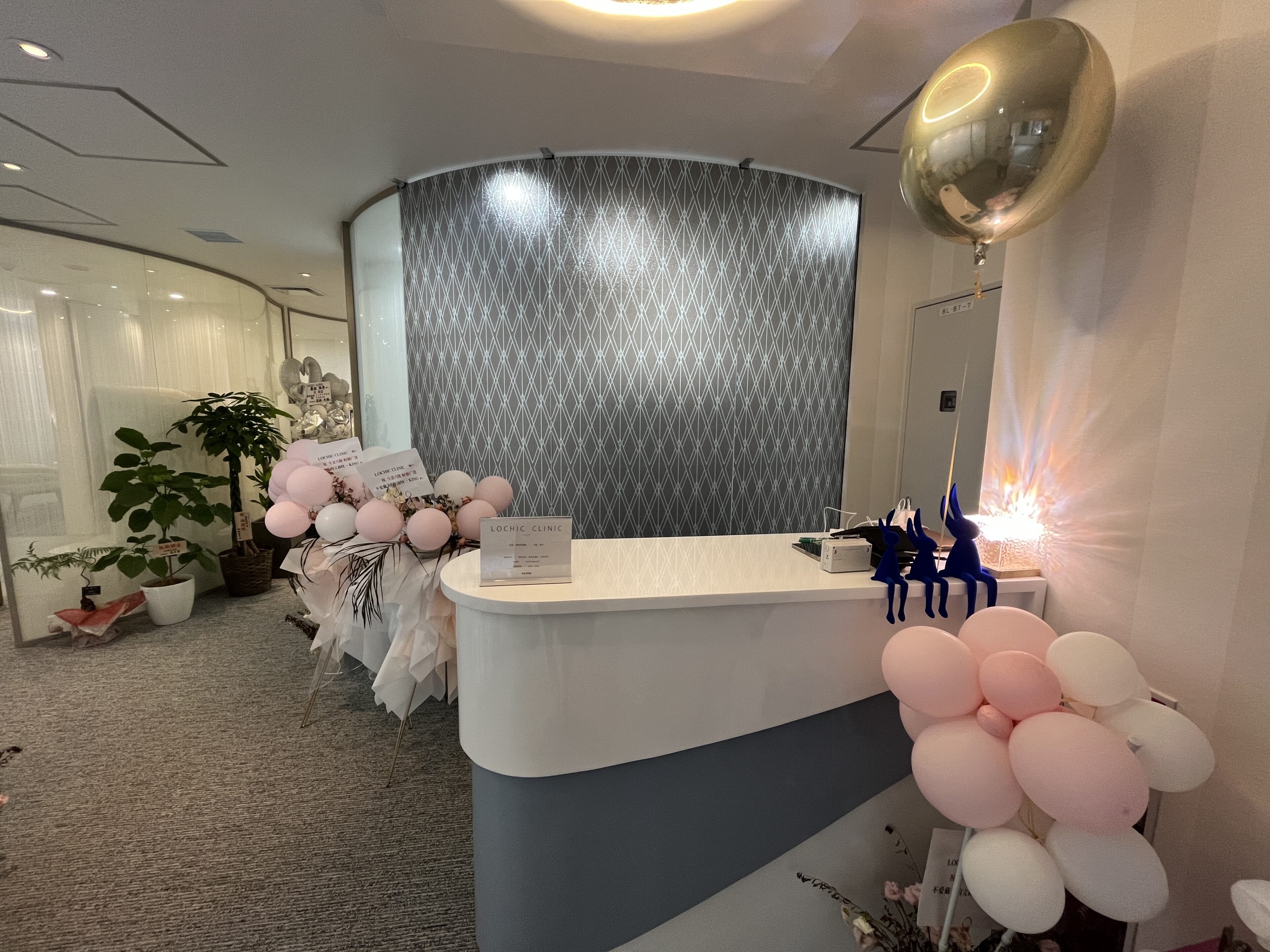 LOCHIC CLINIC GINZA